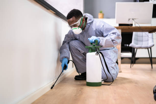 Best Pest Control for Multi-Family Homes  in Huachuca City, AZ